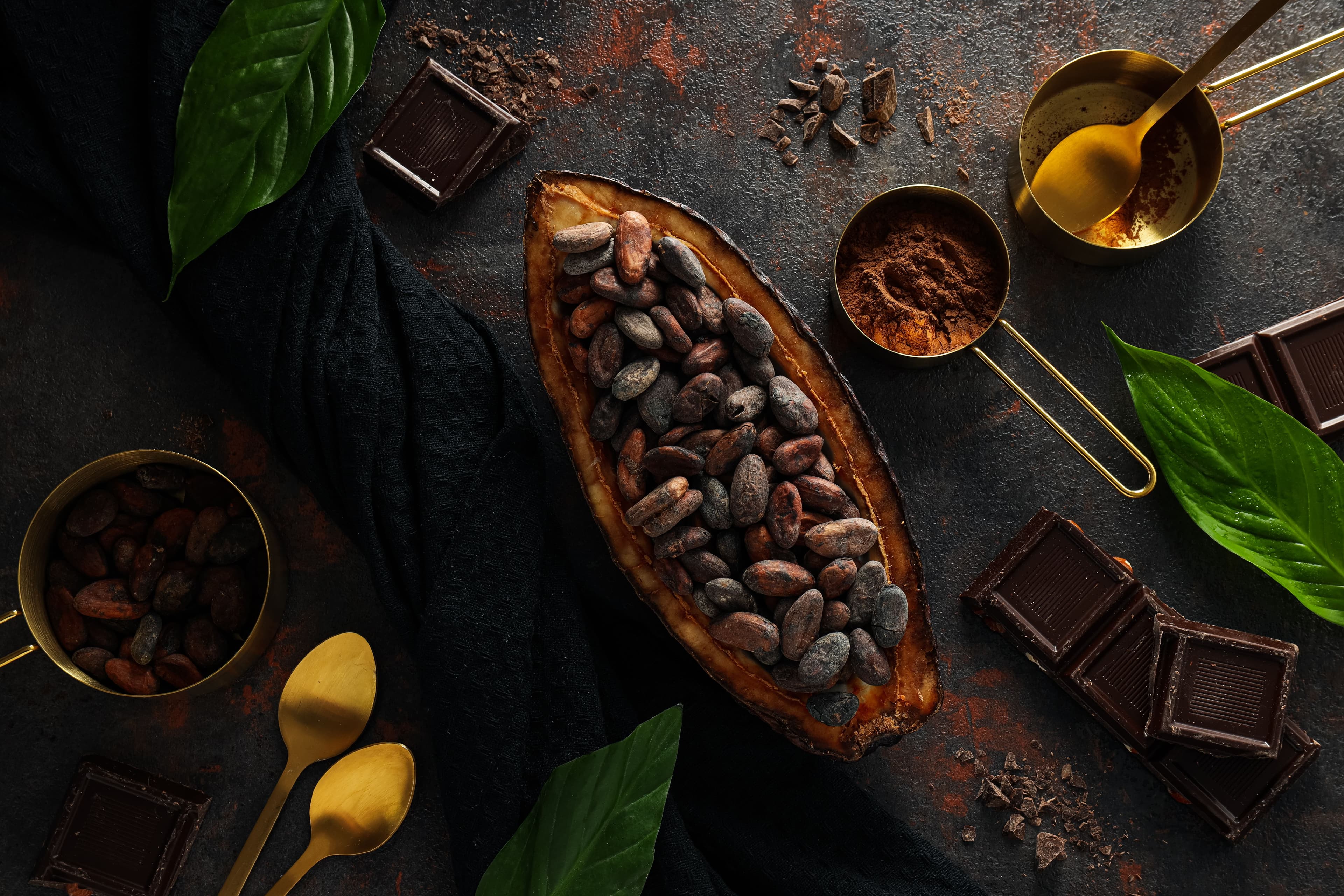 Premium Cocoa Beans from Sulawesi